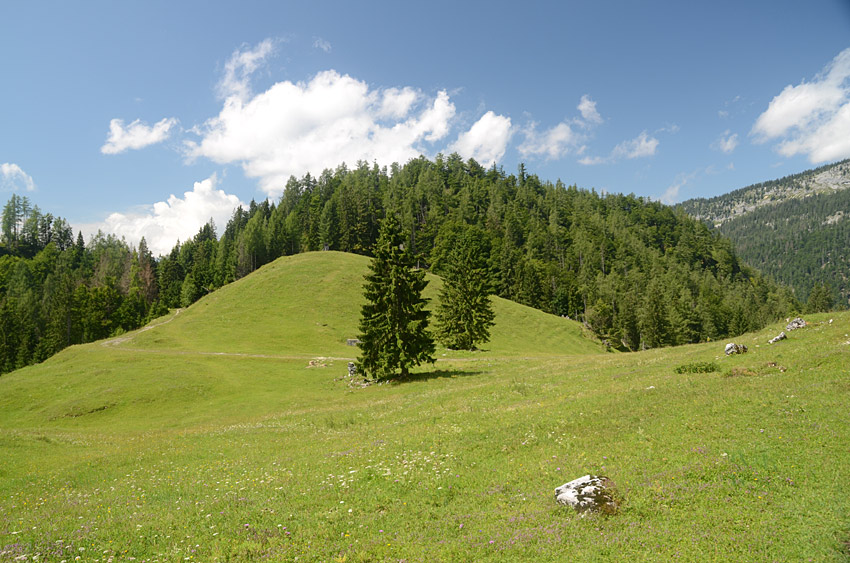 NP Kalkalpen