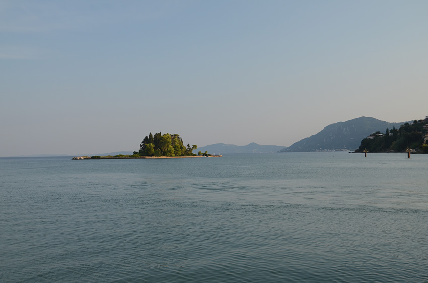 Mouse Islet