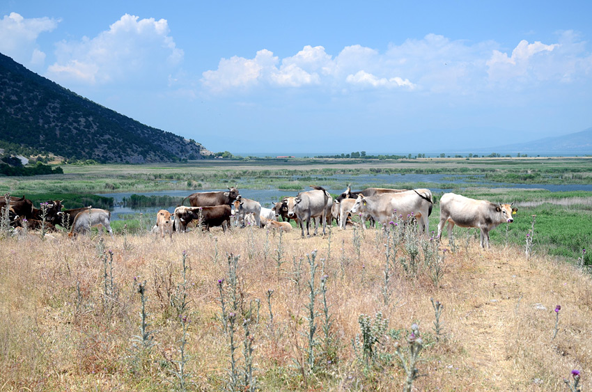 Agios Achilleios