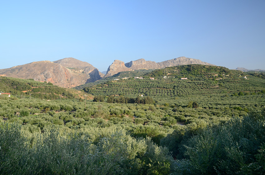 Soutska Topolia