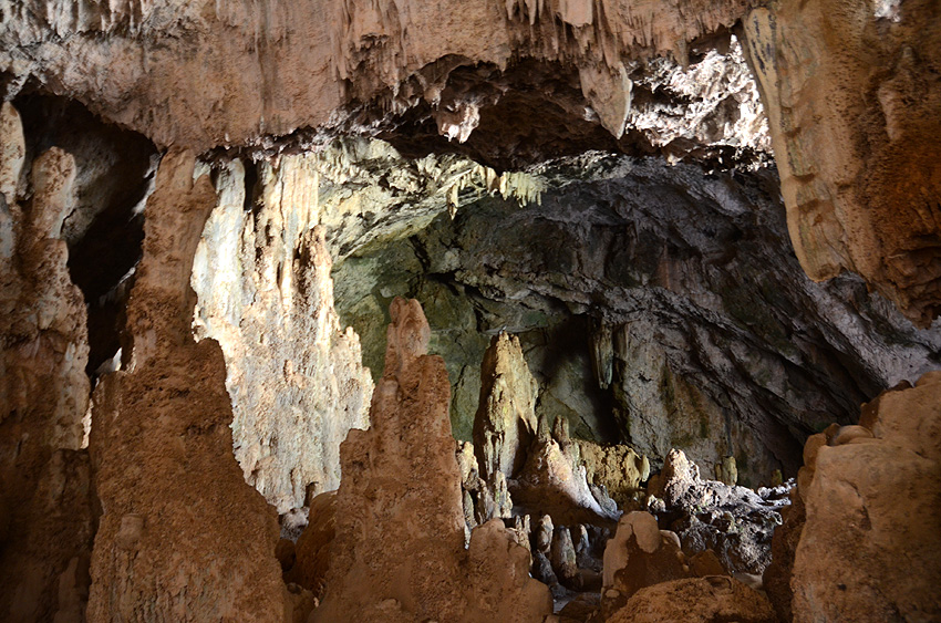 Soutska Topolia