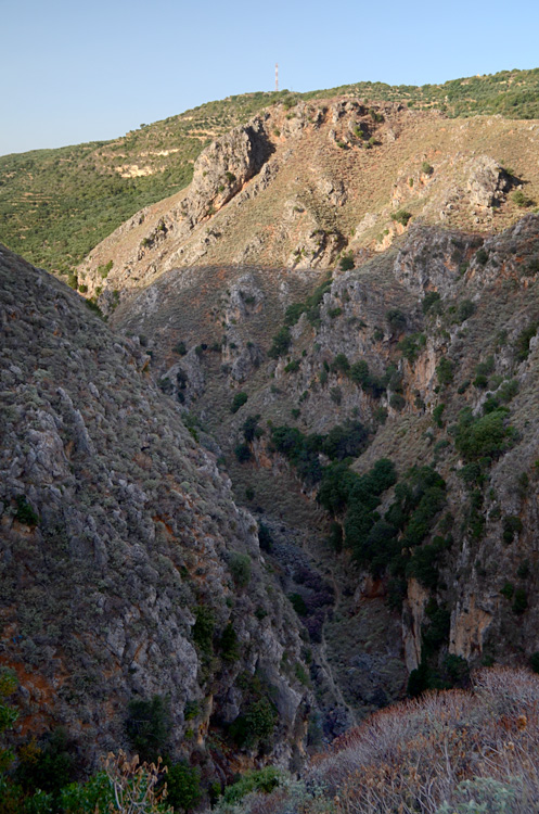 Soutska Topolia