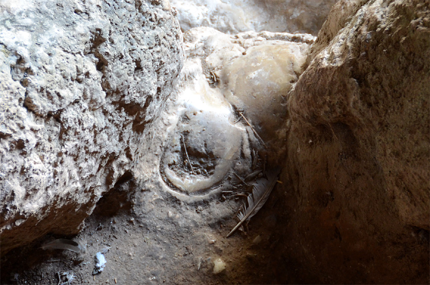 Soutska Topolia
