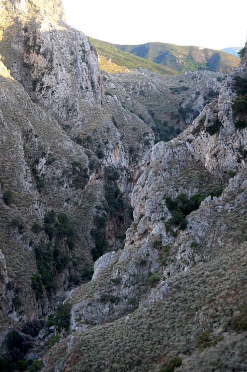 Soutska Topolia