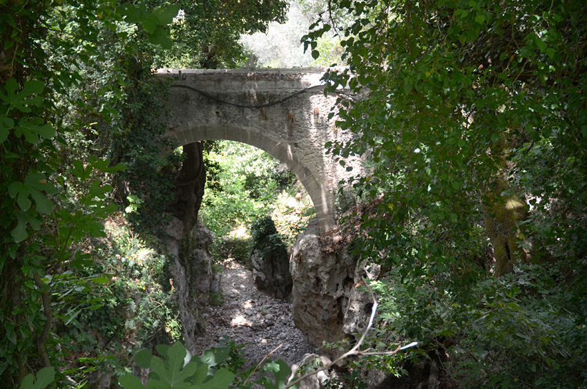 Soutska Topolia