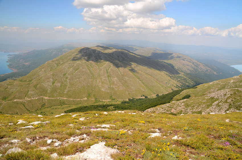 Galiica