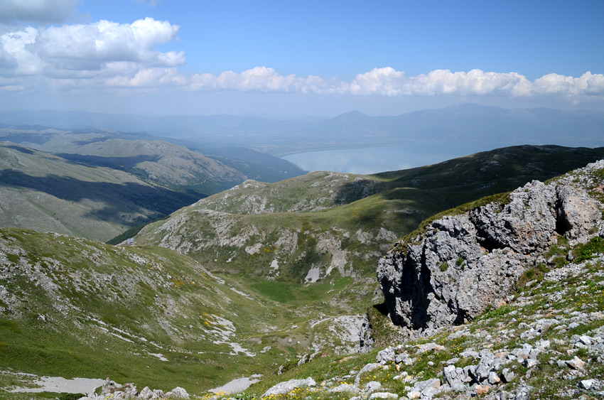 Magaro