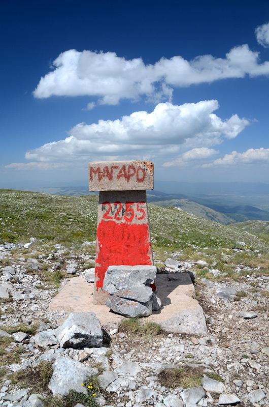 Magaro