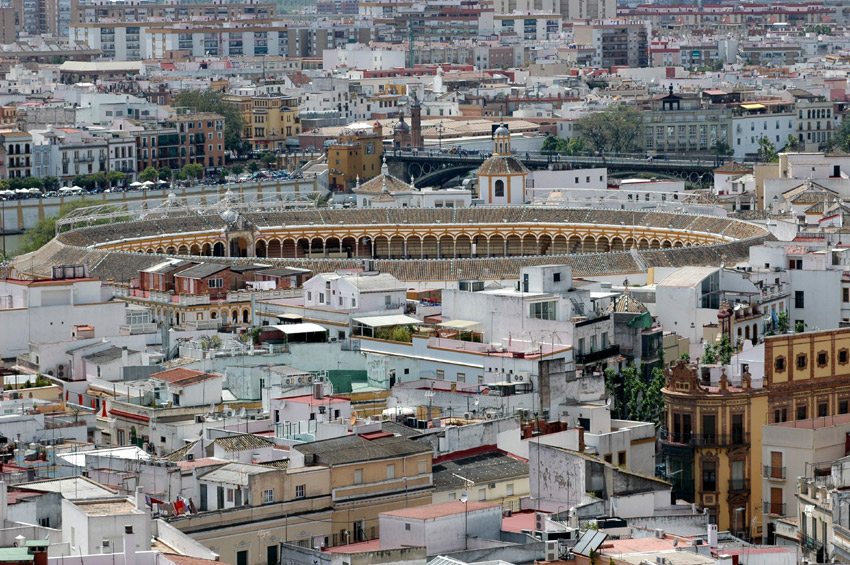 Sevilla - Katedrla