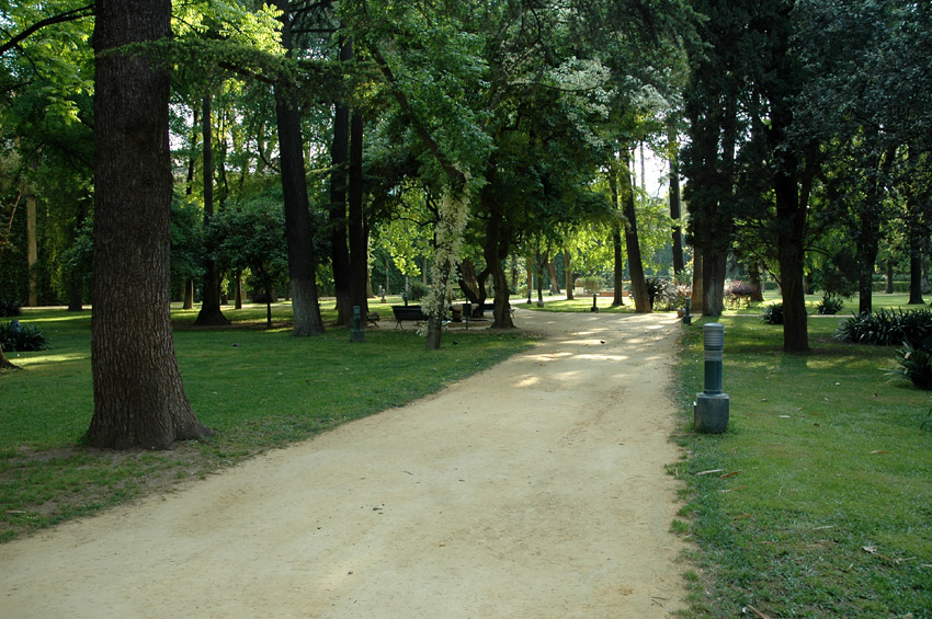 Sevilla - Palcov  zahrady
