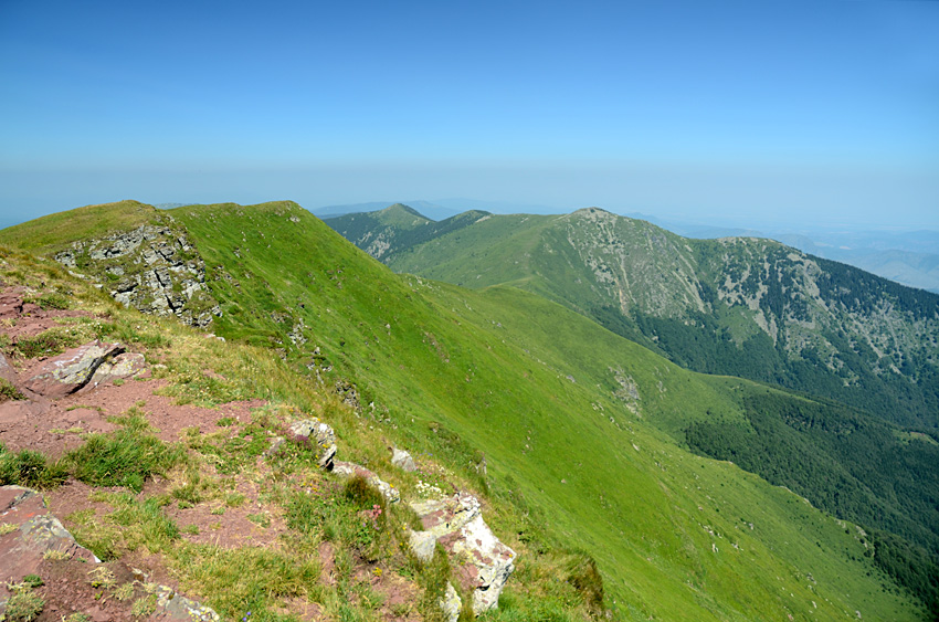 Midur