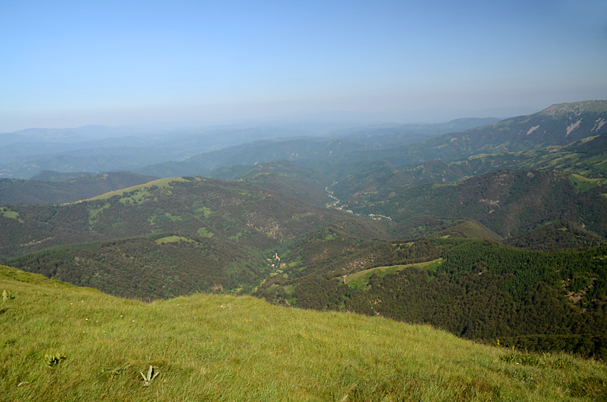 Midur