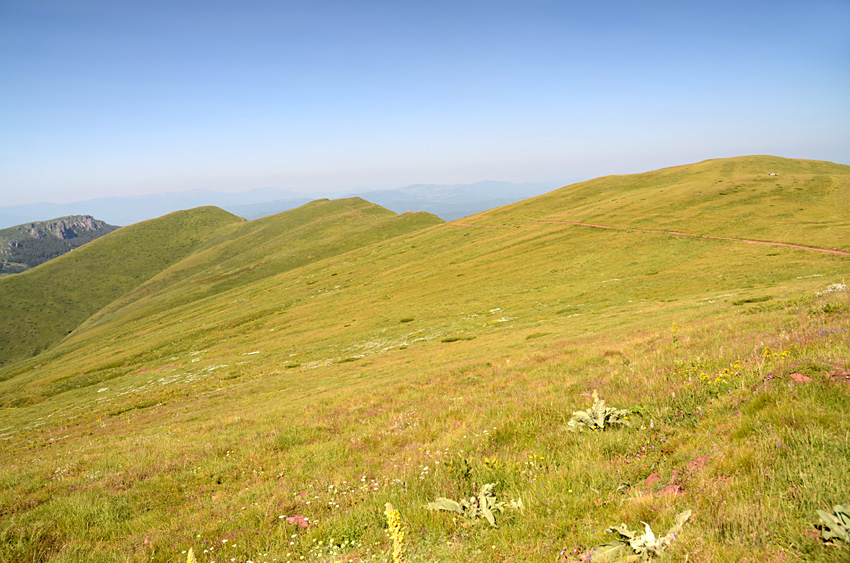 Midur