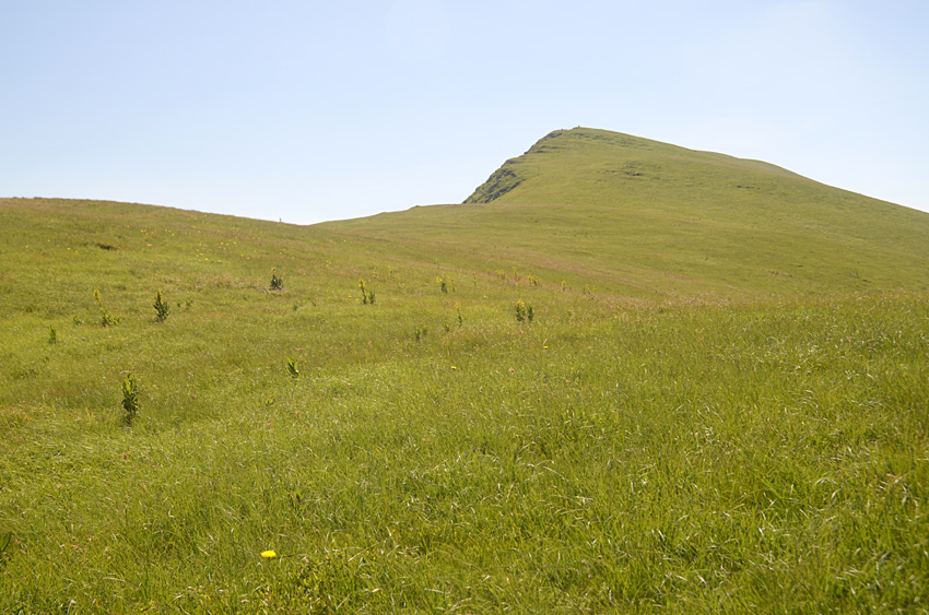 Midur