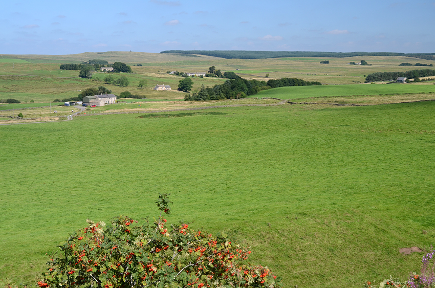 Hadrinv val