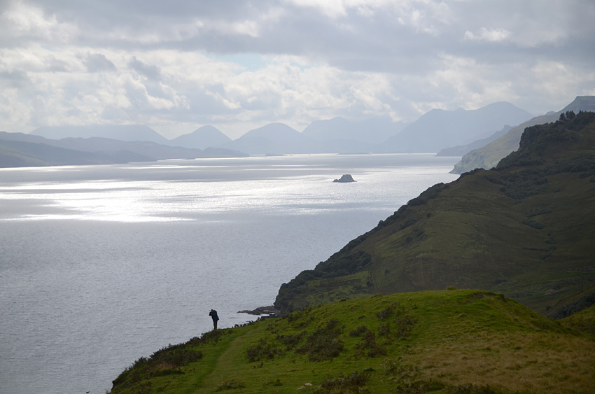 Rigg Viewpoint
