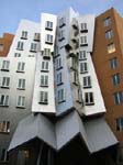 Stata Center