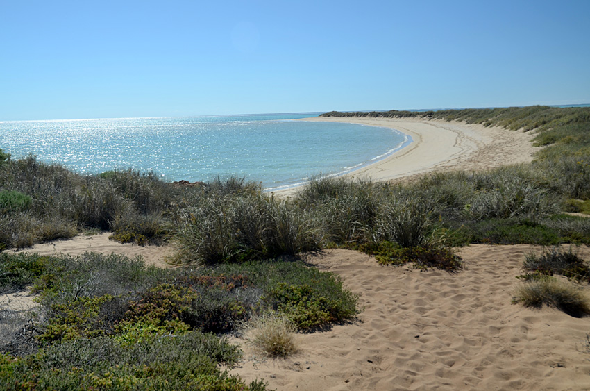 Pobe Ningaloo