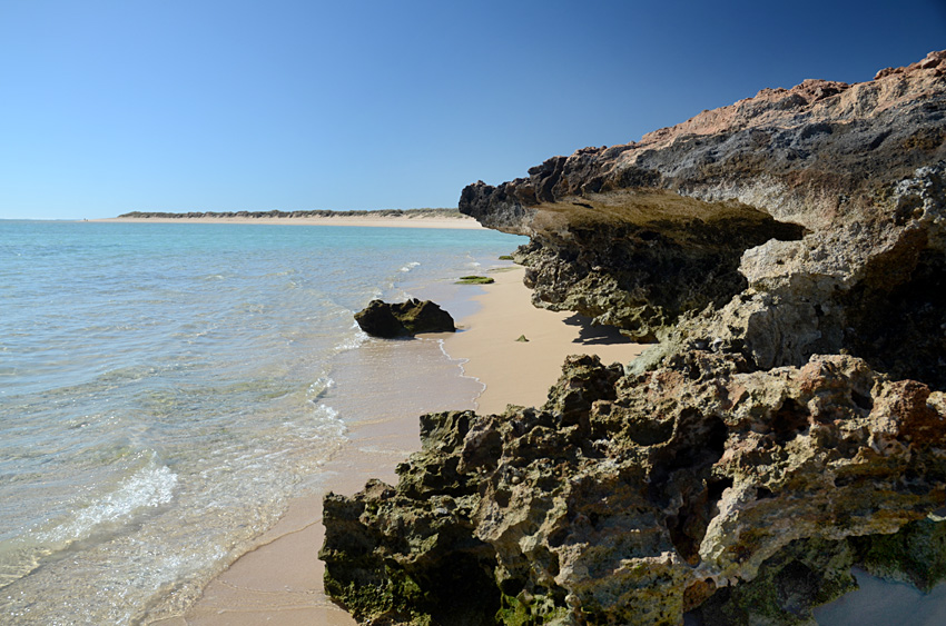 Pobe Ningaloo