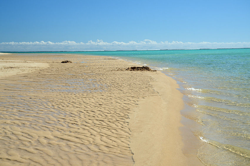 Pobe Ningaloo