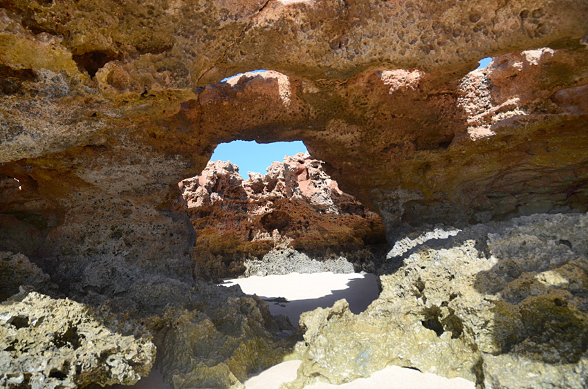 Pobe Ningaloo