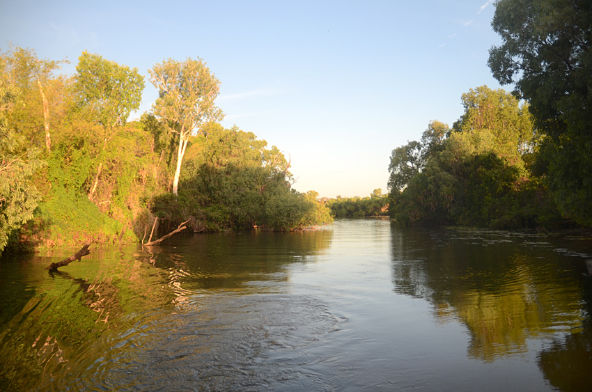 Yellow Water