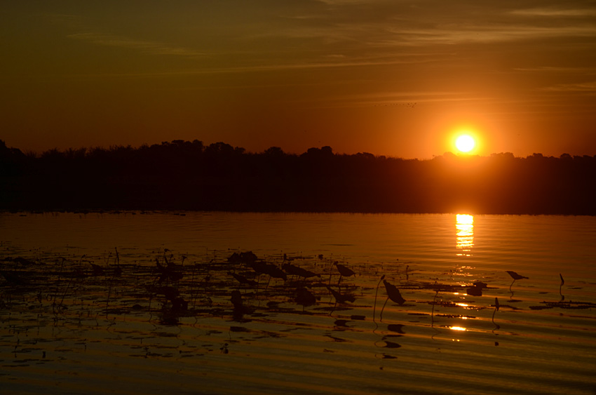 Yellow Water