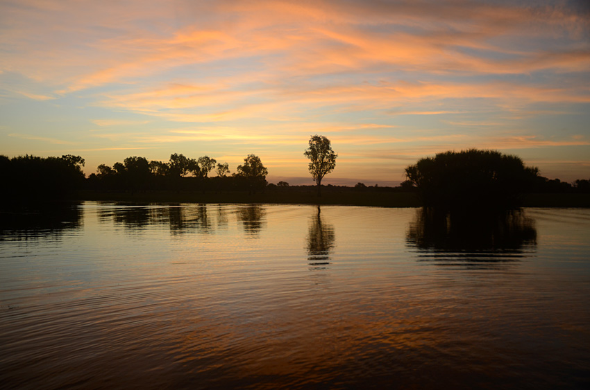 Yellow Water