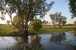 Nrodn park Kakadu