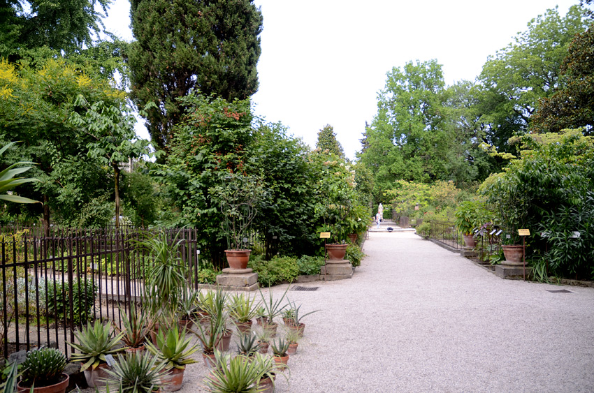 Padova - botanick zahrada