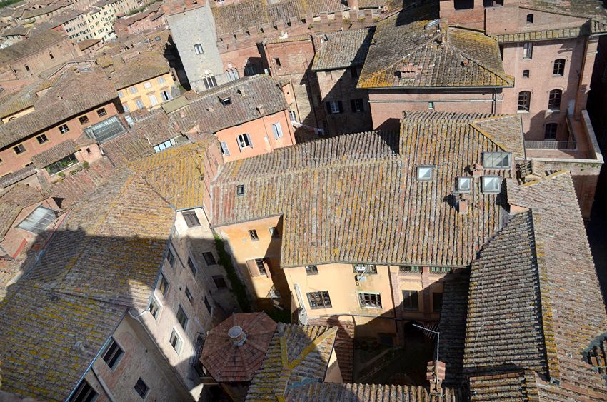 Siena - Piazza del Campo