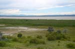 Neziderské jezero