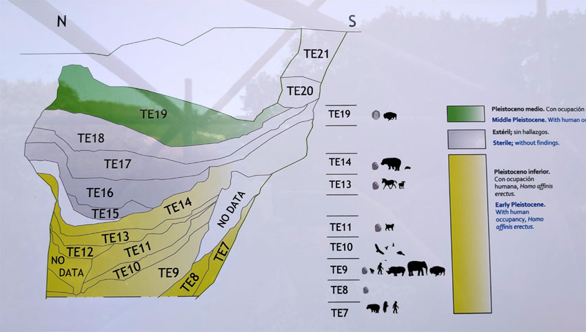Archeologické naleziště Atapuerca