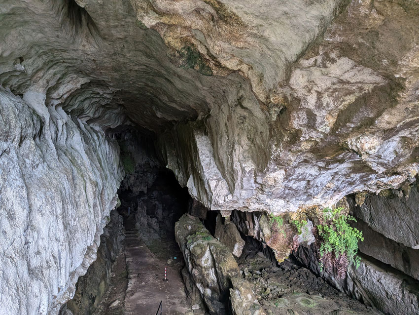 Cueva del Pindal