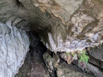 Skalní umění ve Středomořské pánvi na Pyrenejském poloostrově