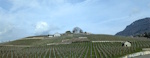 Lavaux