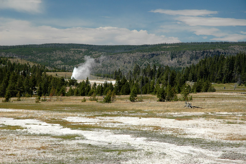 Old Faithful
