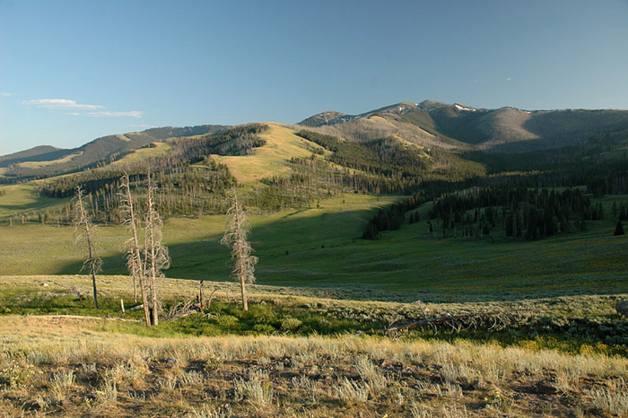 Yellowstone