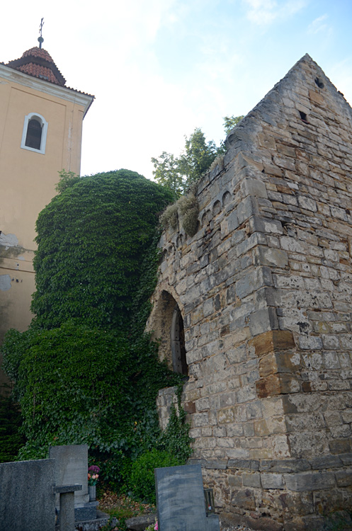 Vyšehořovice - zřícenina kostela svatého Martina