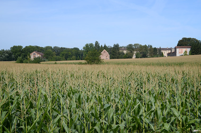 Cîteaux Abbey
