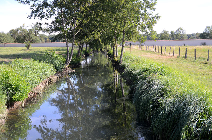 Cîteaux Abbey