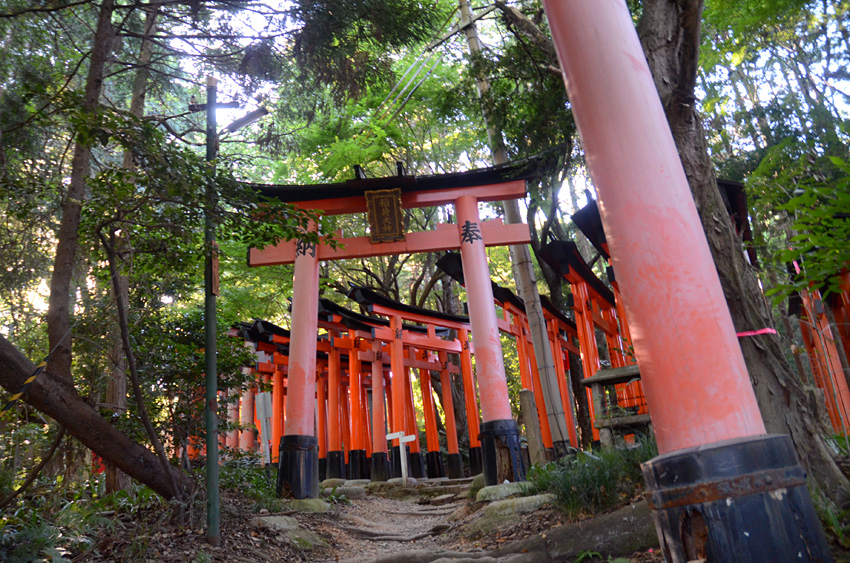 Kyoto - Fushimi Inari-taisha