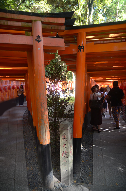 Kyoto - Fushimi Inari-taisha