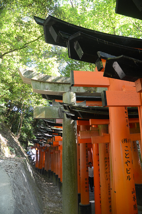 Kyoto - Fushimi Inari-taisha