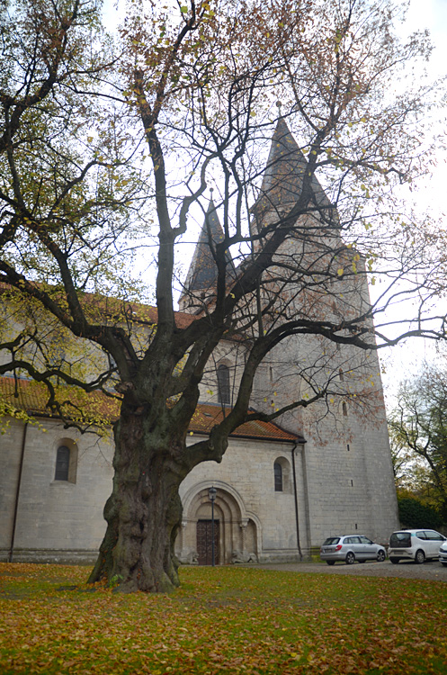 Königslutter am Elm - Kaiserdom