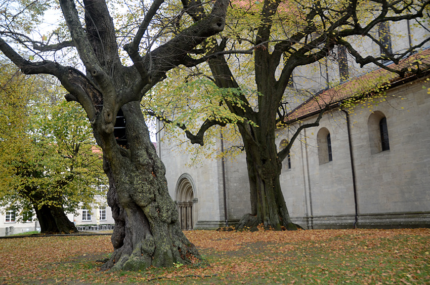 Königslutter am Elm - Kaiserdom