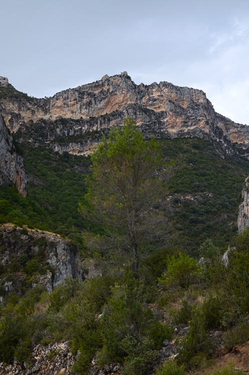 Samitier - Ermita de San Emeterio y San Celedonio