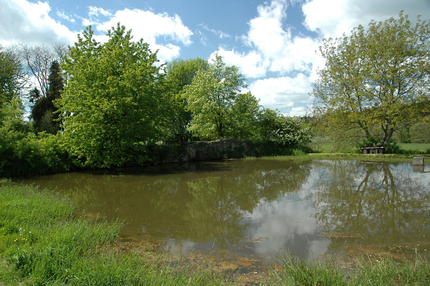 Pravonín - hřbitov