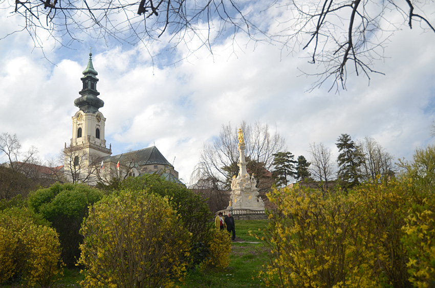Nitra