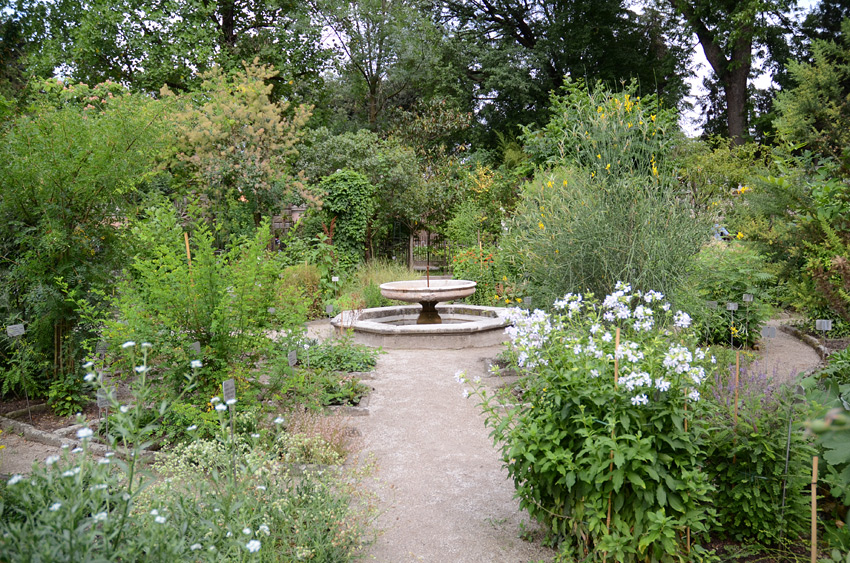Padova - botanick zahrada